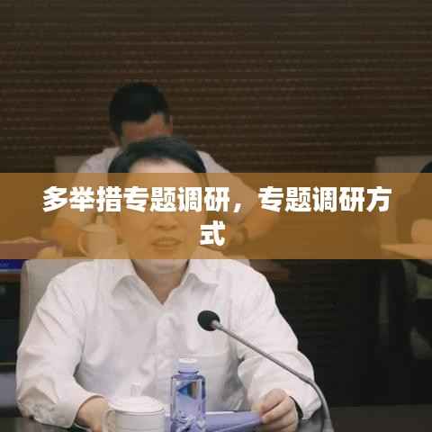 多举措专题调研,专题调研方式