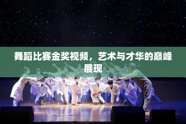 舞蹈比赛金奖视频,艺术与才华的巅峰展现
