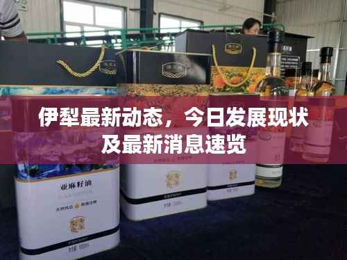 伊犁最新动态,今日发展现状及最新消息速览