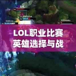 LOL职业比赛英雄选择与战术布局揭秘