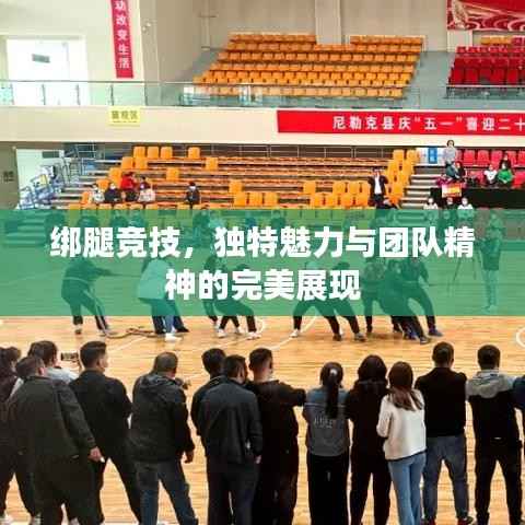 绑腿竞技,独特魅力与团队精神的完美展现