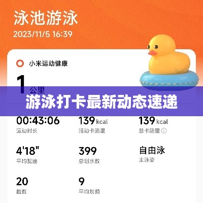 游泳打卡最新动态速递