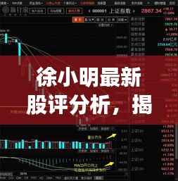 徐小明最新股评分析,揭秘股市走势,专业解读今日行情