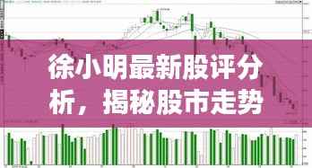 徐小明最新股评分析,揭秘股市走势,专业解读今日行情