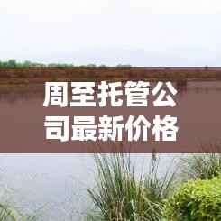 周至托管公司最新价格表揭秘,全面解析托管服务费用详情
