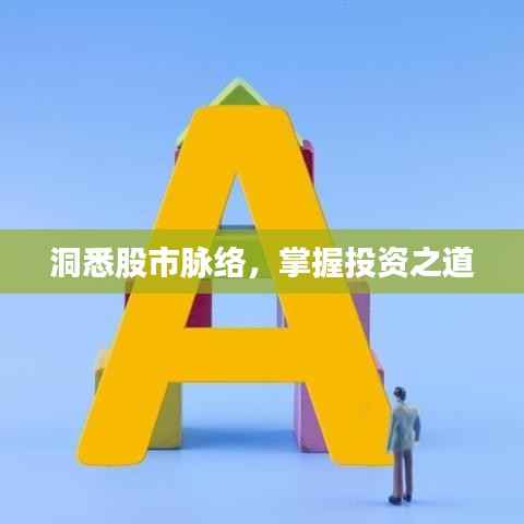 洞悉股市脉络，掌握投资之道