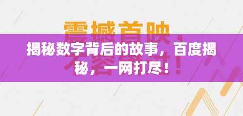揭秘数字背后的故事,百度揭秘,一网打尽!