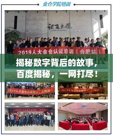 揭秘数字背后的故事,百度揭秘,一网打尽!