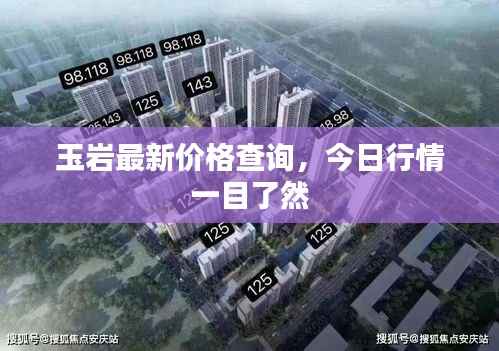 玉岩最新价格查询,今日行情一目了然