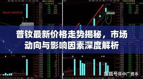 普钕最新价格走势揭秘,市场动向与影响因素深度解析