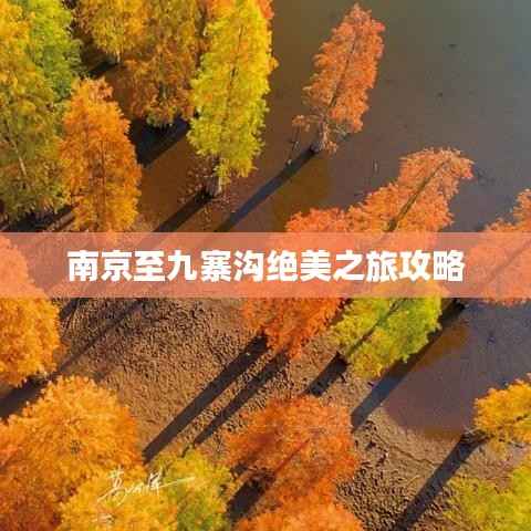 高谈阔论 第3页