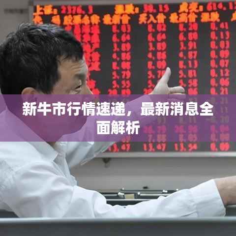 新牛市行情速递,最新消息全面解析
