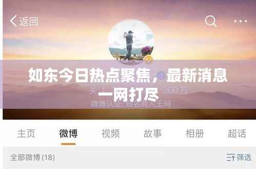 如东今日热点聚焦,最新消息一网打尽