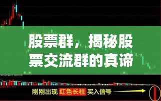 股票群，揭秘股票交流群的真谛！
