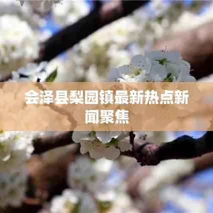 会泽县梨园镇最新热点新闻聚焦