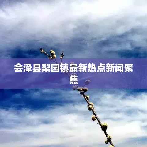 会泽县梨园镇最新热点新闻聚焦