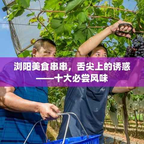 浏阳美食串串,舌尖上的诱惑——十大必尝风味