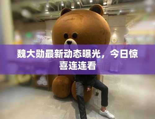 魏大勋最新动态曝光,今日惊喜连连看