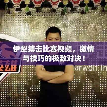 伊犁搏击比赛视频,激情与技巧的极致对决!