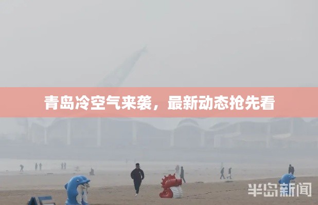 青岛冷空气来袭,最新动态抢先看