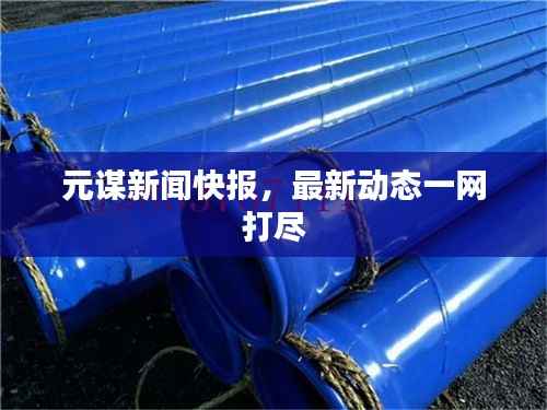 元谋新闻快报，最新动态一网打尽