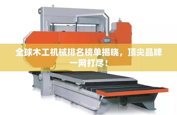 别出新意 第4页