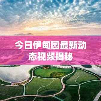 今日伊甸园最新动态视频揭秘
