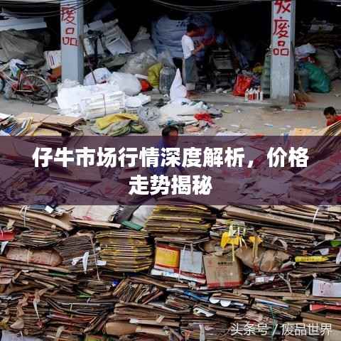 仔牛市场行情深度解析，价格走势揭秘