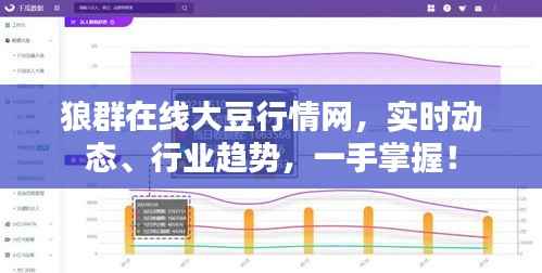 狼群在线大豆行情网，实时动态、行业趋势，一手掌握！