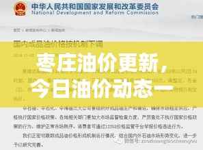 枣庄油价更新,今日油价动态一网打尽