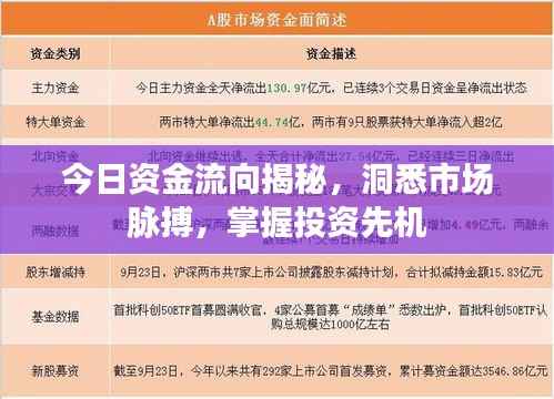 今日资金流向揭秘,洞悉市场脉搏,掌握投资先机