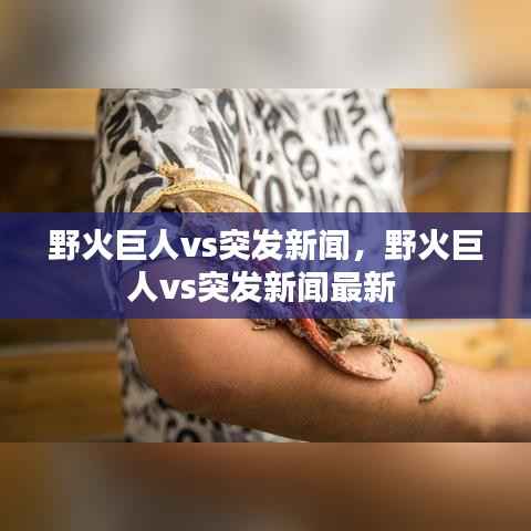 真独简贵 第5页