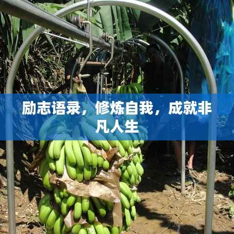 励志语录，修炼自我，成就非凡人生