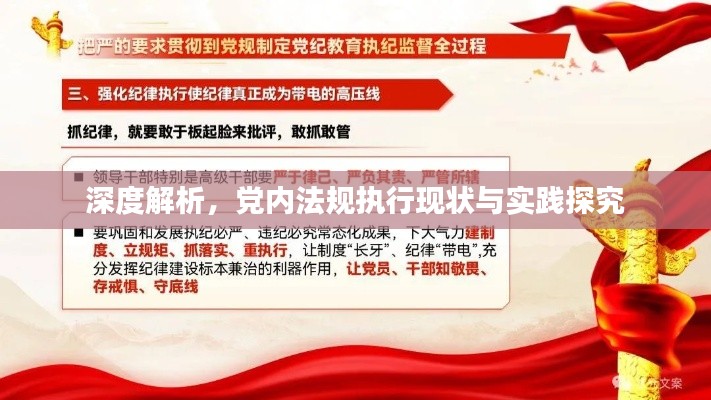 深度解析,党内法规执行现状与实践探究