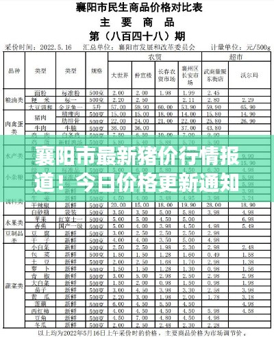 襄阳市最新猪价行情报道!今日价格更新通知