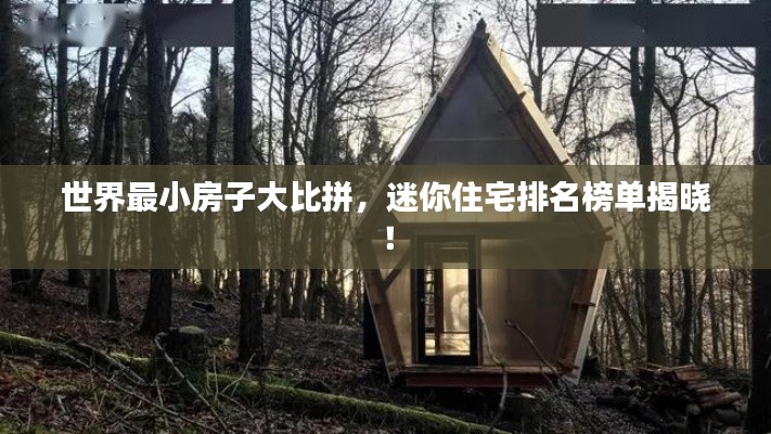 世界最小房子大比拼，迷你住宅排名榜单揭晓！