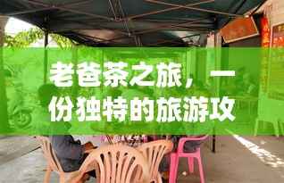 老爸茶之旅，一份独特的旅游攻略