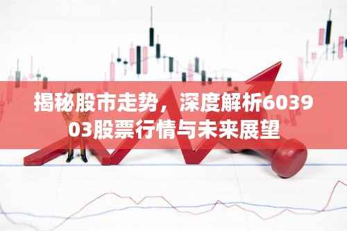 揭秘股市走势，深度解析603903股票行情与未来展望