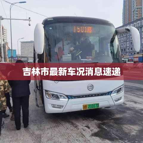 吉林市最新车况消息速递