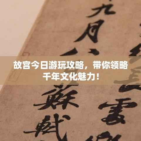 故宫今日游玩攻略,带你领略千年文化魅力!