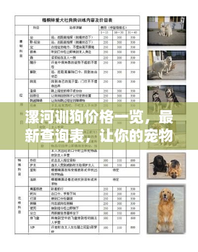 漯河训狗价格一览,最新查询表,让你的宠物训练预算一目了然