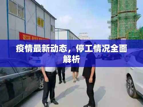 疫情最新动态，停工情况全面解析