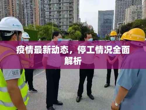 疫情最新动态,停工情况全面解析