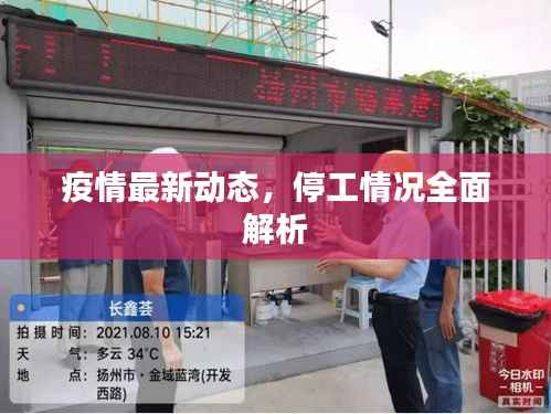 疫情最新动态,停工情况全面解析
