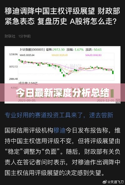 今日最新深度分析总结