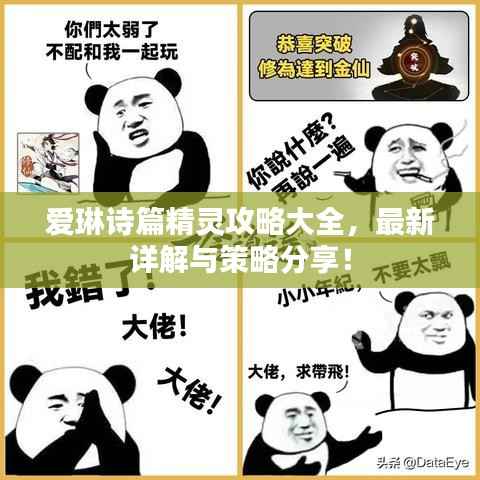 爱琳诗篇精灵攻略大全,最新详解与策略分享!