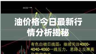 油价格今日最新行情分析揭秘