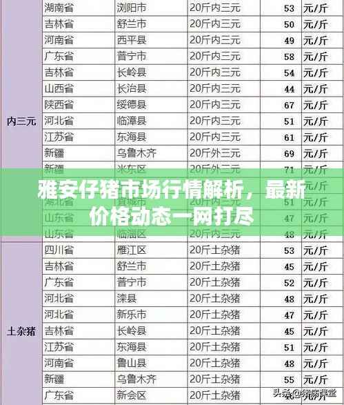 雅安仔猪市场行情解析,最新价格动态一网打尽