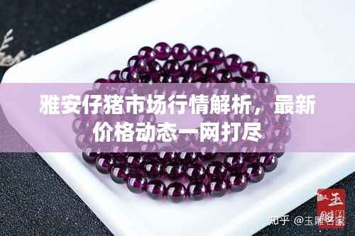 雅安仔猪市场行情解析,最新价格动态一网打尽