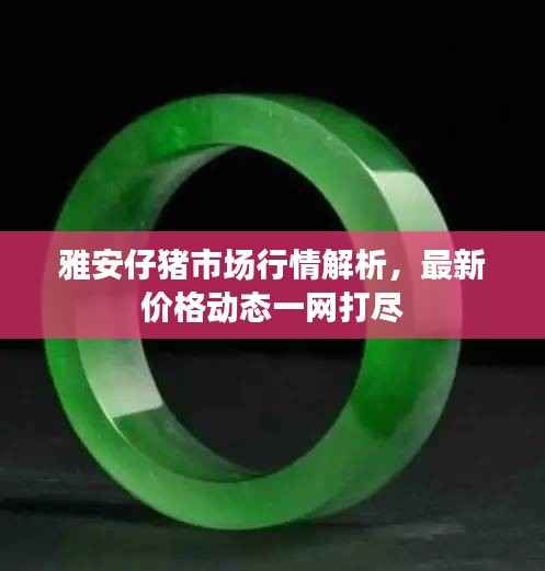 雅安仔猪市场行情解析,最新价格动态一网打尽